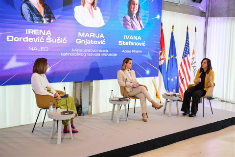 Siva knjiga Lozionica lowres 15 (Medium).jpg